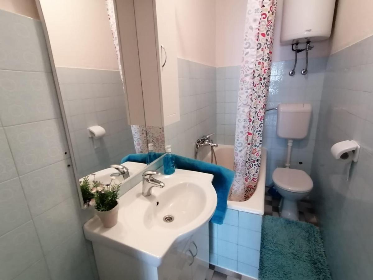 Apartment Gojak *