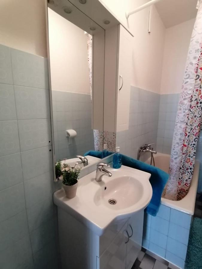 Apartment Gojak *